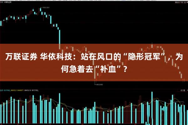 万联证券 华依科技：站在风口的“隐形冠军”，为何急着去“补血”？