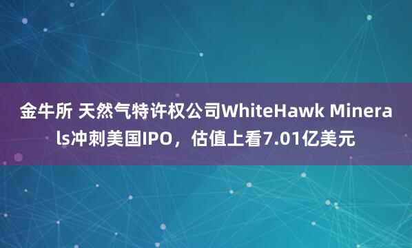 金牛所 天然气特许权公司WhiteHawk Minerals冲刺美国IPO，估值上看7.01亿美元