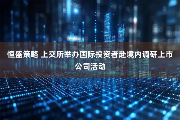 恒盛策略 上交所举办国际投资者赴境内调研上市公司活动