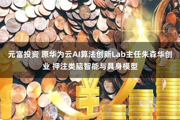 元富投资 原华为云AI算法创新Lab主任朱森华创业 押注类脑智能与具身模型